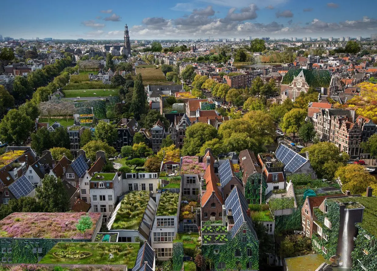 Stad van bovenaf met daken vol sedum, bloemen en zonnepanelen