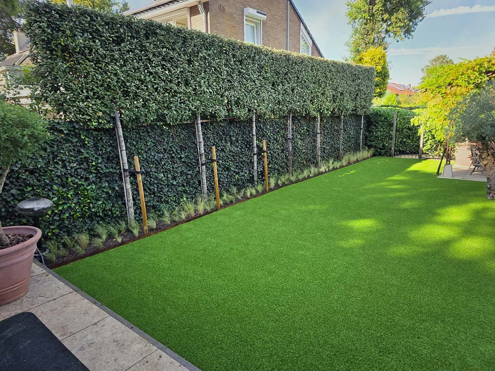 Strakke tuin met hoge haag en gazon