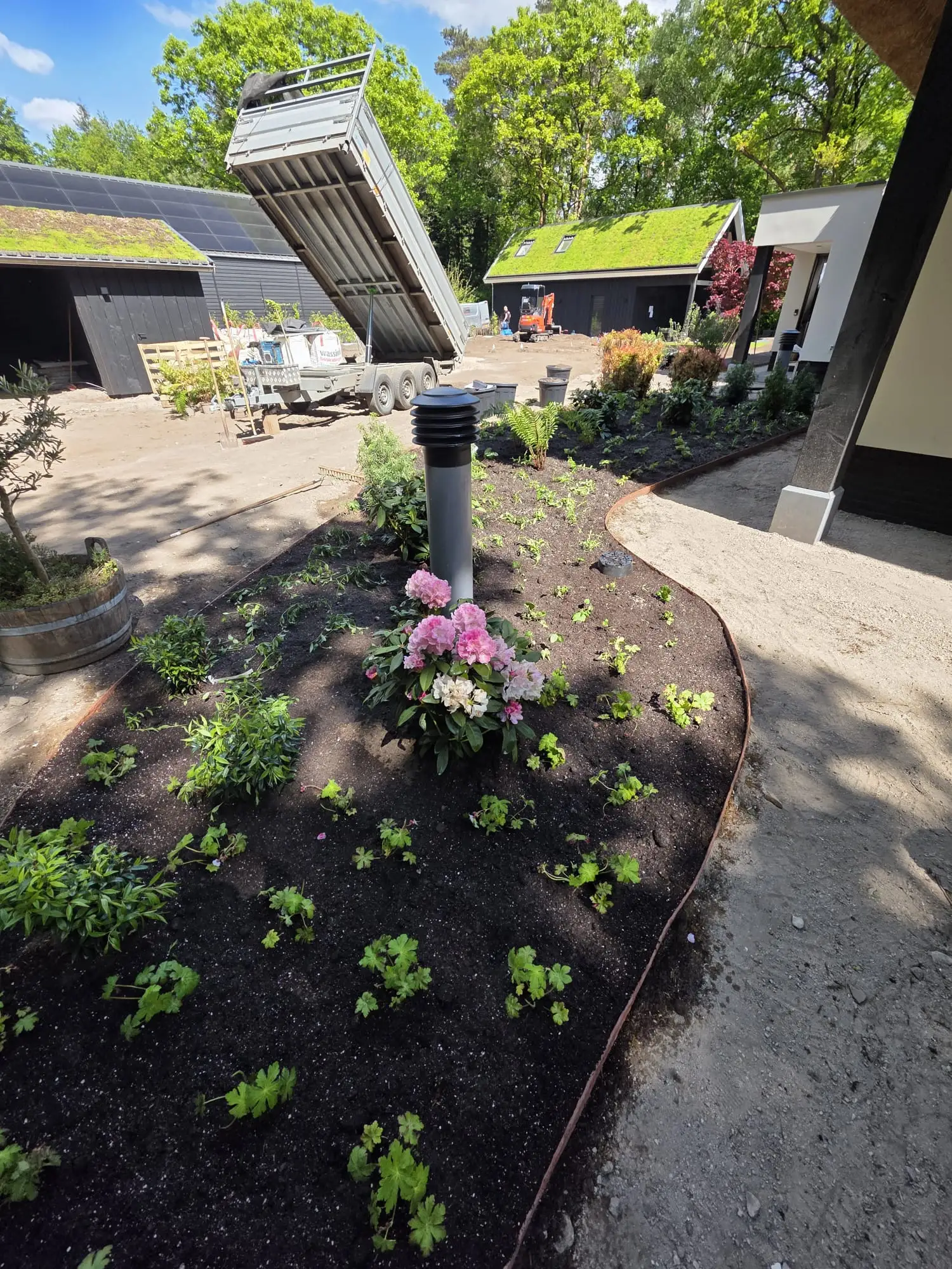 Nieuw aangelegde tuin met beplanting en tuinverlichting